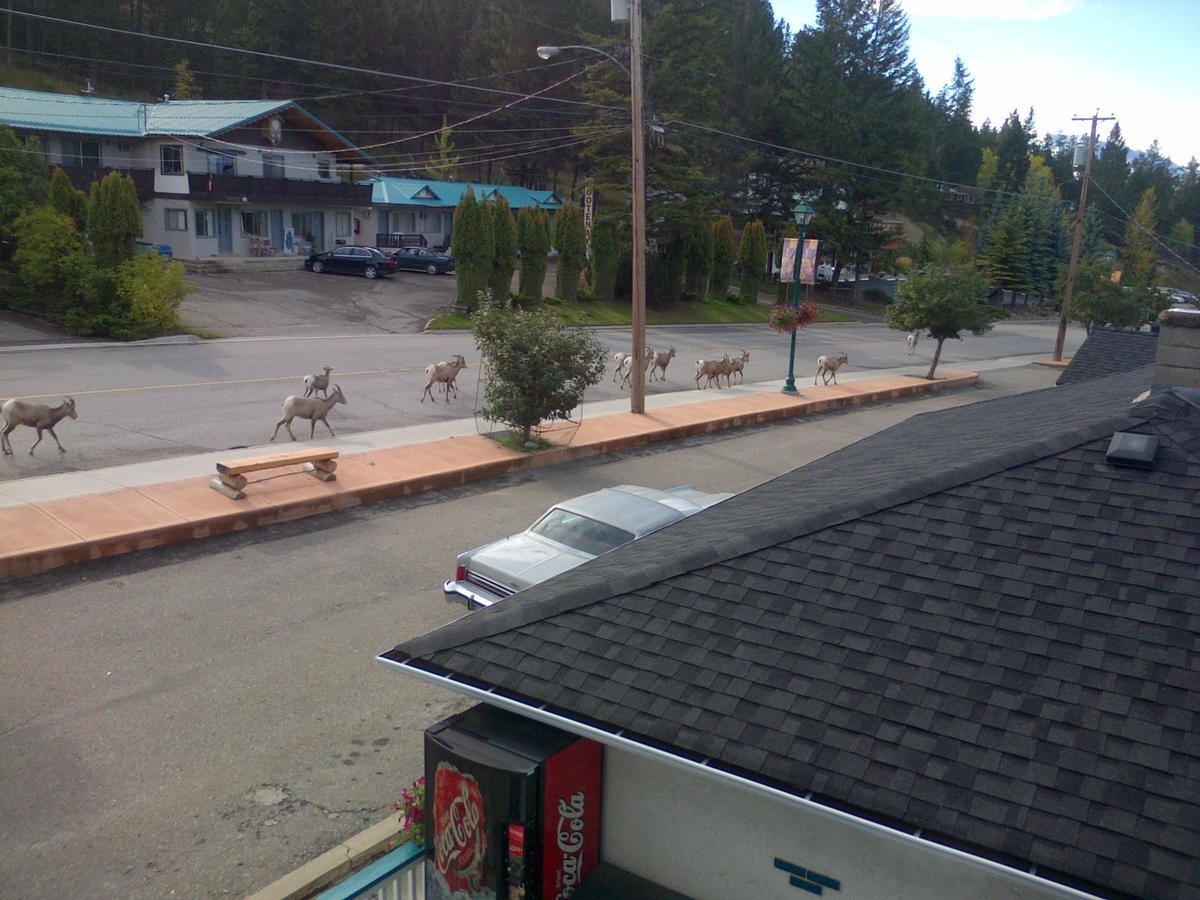 Appletree Inn Radium Hot Springs Buitenkant foto