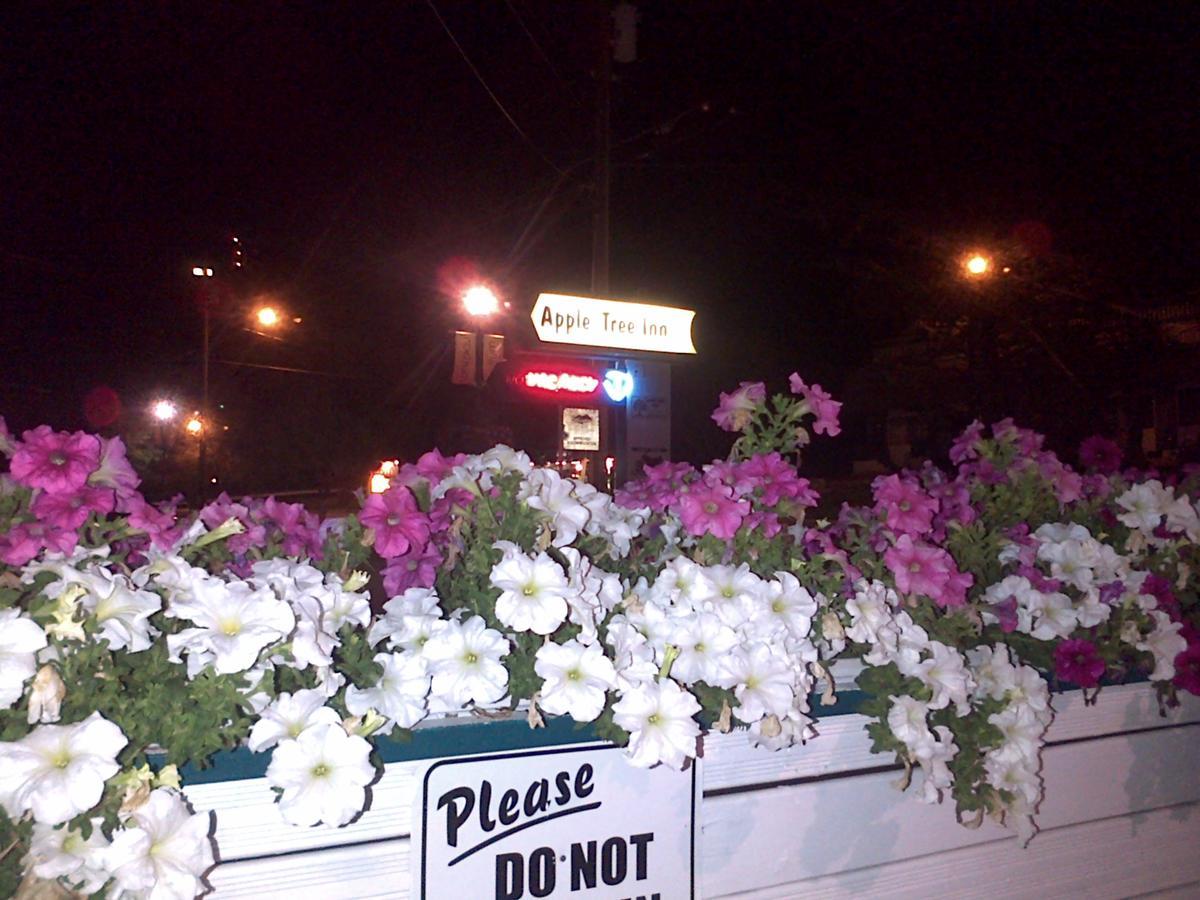 Appletree Inn Radium Hot Springs Buitenkant foto